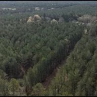 151.8 Acres in Smith County in Raleigh MS images 4