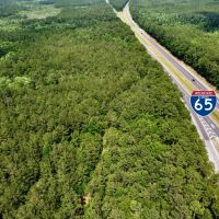 Divisible Stockton Bay Minette Tract on I-65 and Highway 59 images 5
