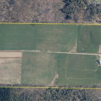 57 acres Amish Farm with House and Barn in Centerville NY 10341 Rushford Rd images 3
