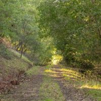 Rancho Santa Rosa images 5