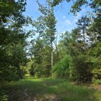 LA - Ouachita 16 acres -