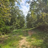 LA - Ouachita 16 acres - images 3