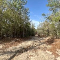 10 AC on 169 in Salem AL images 3