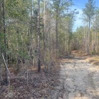 10 AC on 169 in Salem AL images 4