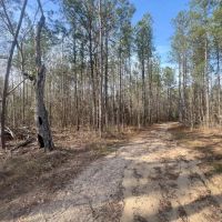 10 AC on 169 in Salem AL images 5