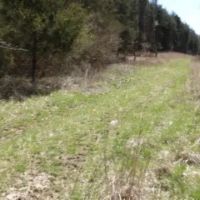 Baugh Hollow Rd Lot 6