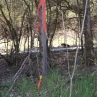 Baugh Hollow Rd Lot 6 images 5