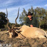 Addax1
