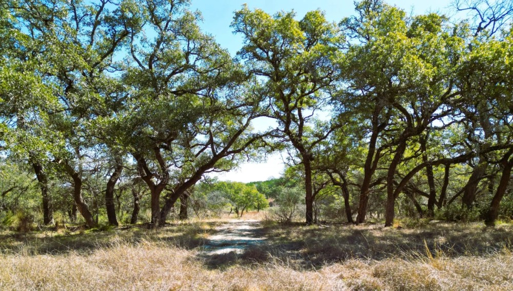 1090 Wilson Ranch Rd featured image