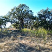 1090 Wilson Ranch Rd images 5