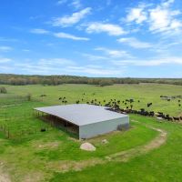 Amazing Elm Creek Ranch Choctaw County OK 580 AC images 4