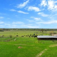 Amazing Elm Creek Ranch Choctaw County OK 580 AC images 5