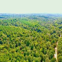 20.04 Wooded Acres near Beautiful Kentucky Lake.