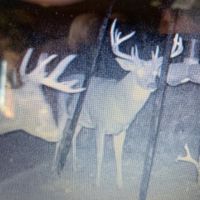 KS - Barber 505 acres - images 3