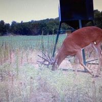 KS - Barber 505 acres - images 4