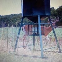 KS - Barber 505 acres - images 5