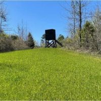 255 Acres in Attala County in Kosciusko MS