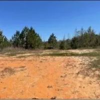 255 Acres in Attala County in Kosciusko MS images 3