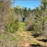 255 Acres in Attala County in Kosciusko MS images 5