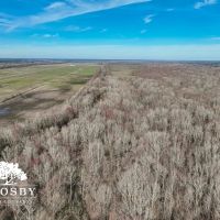 Black River Preserve 1