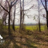 Black River Preserve 1 images 2