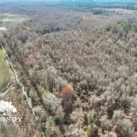 Black River Preserve 1 images 3