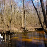 Black River Preserve 1 images 4
