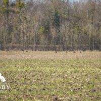 Black River Preserve 1 images 5