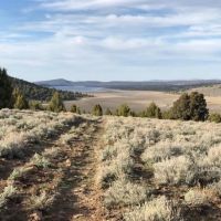Crooks Lake Acreage