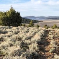 Crooks Lake Acreage images 2