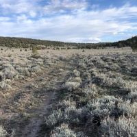 Crooks Lake Acreage images 3