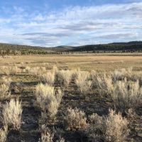 Crooks Lake Acreage images 4