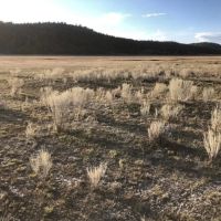 Crooks Lake Acreage images 5
