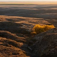 Richardson Ranch at Orchard images 1