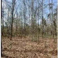 17.5 Acres in Scott County in Forest MS images 2