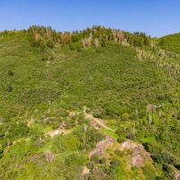 Seven Springs Ranch images 3