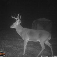 240 acre Ranch near Naples, TX - REDUCED $6,000