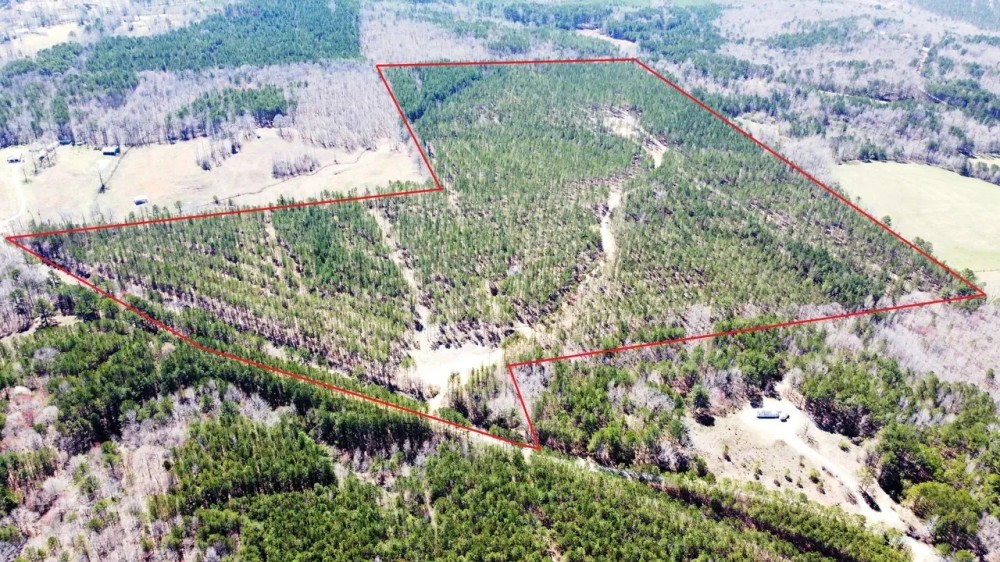 Sunny Home 87 - Acres featured image