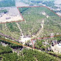 Sunny Home 87 - Acres