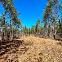 Sunny Home 87 - Acres images 3