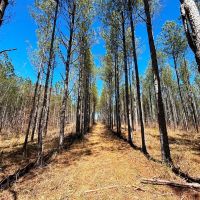 Sunny Home 87 - Acres images 4