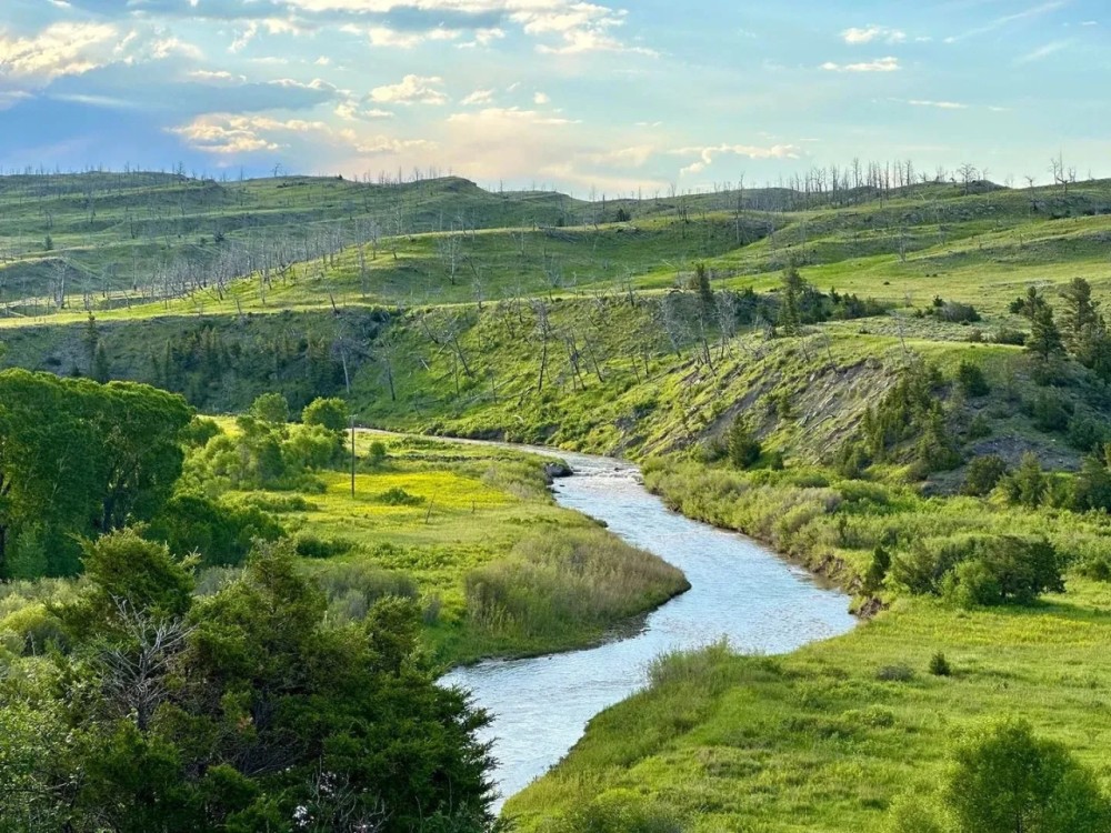 Sweet Grass Overlook featured image