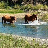 Sweet Grass Overlook images 2