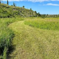 Sweet Grass Overlook images 5