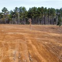 One Equity Share in Copiah County MS images 1
