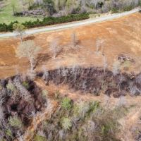 One Equity Share in Copiah County MS images 4