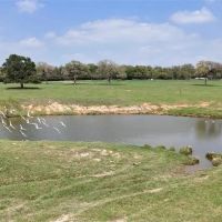2792 Fm 535 Rosanky Texas 78953 images 2