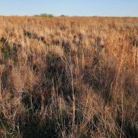 Springs Ranch images 3
