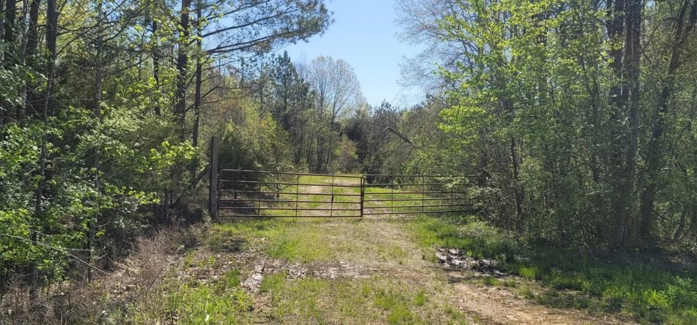 37 AC 14 AC AG FIELDS CATTLE HORSE HOBBY FARM featured image