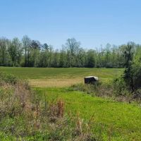 37 AC 14 AC AG FIELDS CATTLE HORSE HOBBY FARM images 4